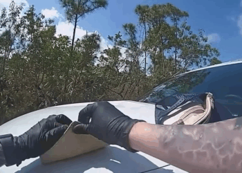 Woman Turns Simple Traffic Stop Into Felony V1110 032 Part 2