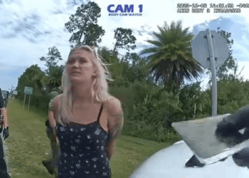 How Barely Speeding Turns Into 500k Bond V1510 033 Part 2