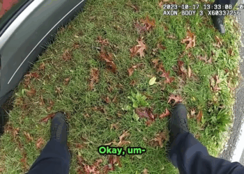 Drunk Demanding Most Insane Karen V2210 024 Part 2