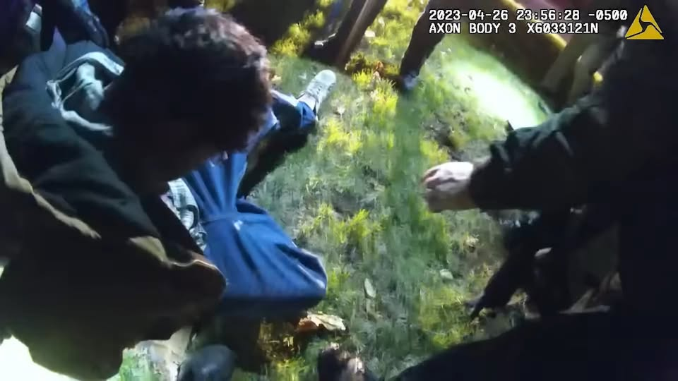 Consequences of Messing K9 V2210 005 Part 2