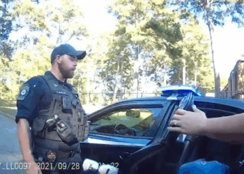 Being Difficult After Endangering Child Safety Cops V2210 002 Part 2