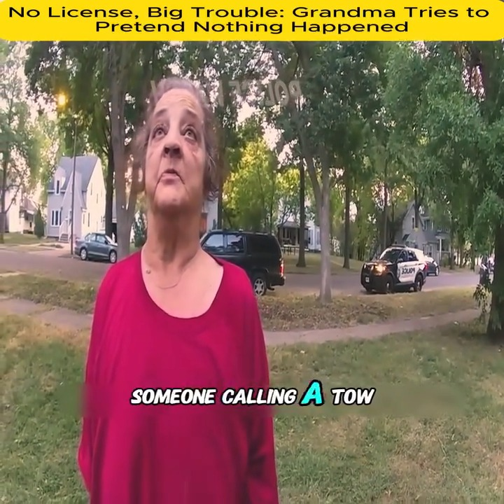 No License, Big Trouble Grandma Tries to Pretend Nothing Happened V2110 013 Part 2