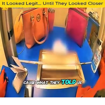 It Looked Legit Until They Looked Closer V2110 033 Part 2