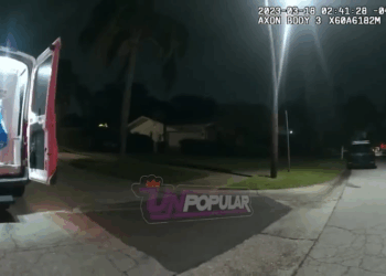 When Cruelty Meets No BS Cop, Wife Gets Dose of Reality V1510 022 Part 2