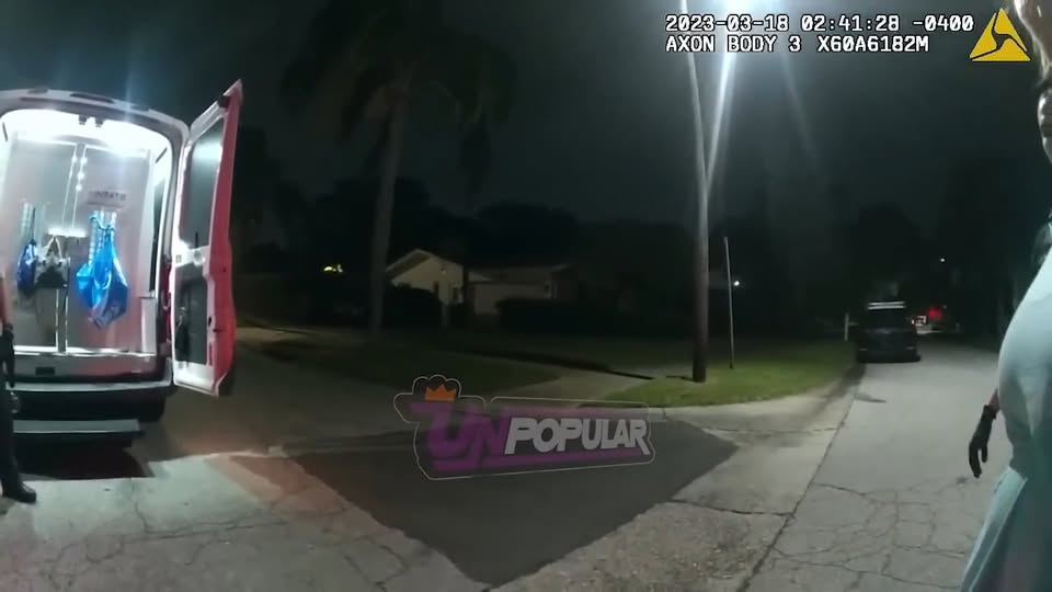 When Cruelty Meets No BS Cop, Wife Gets Dose of Reality V1510 022 Part 2