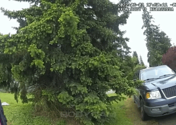 Police Surprise Man at Home After He Pulls Gun on BestBuy Employee V1510 038 Part 2