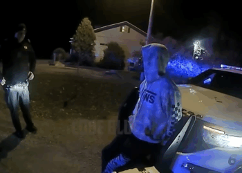 You Can Choose Worse Hiding Spot Than V0310 011 Part 2