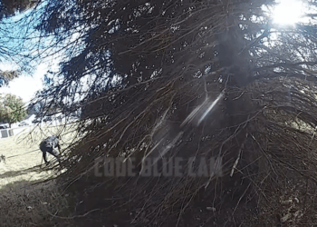 Year Old Makes Terrible Decision After Spelling His Fake Name Wrong V0310 043 Part 2