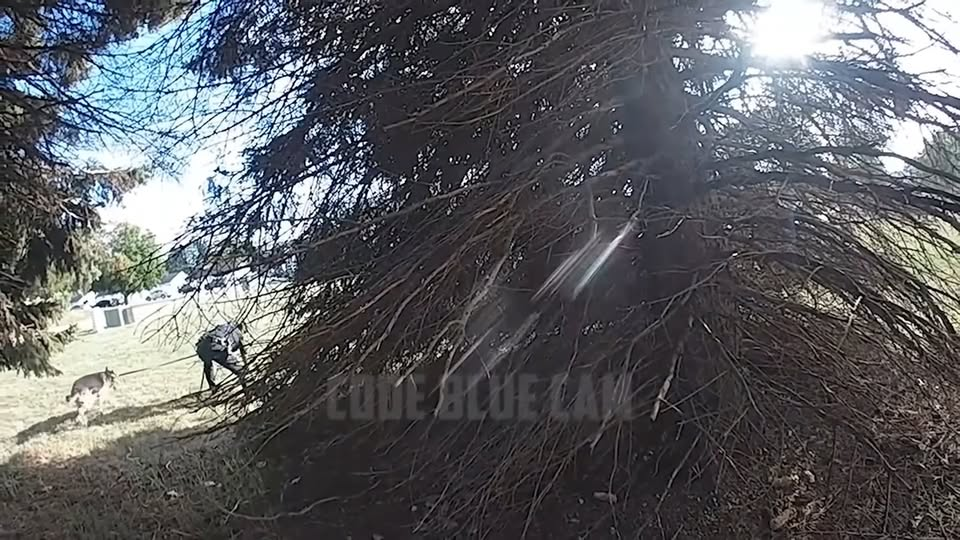 Year Old Makes Terrible Decision After Spelling His Fake Name Wrong V0310 043 Part 2