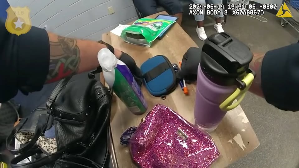 How These Walmart BANDITS Landed in DOPEY Dilemma V1110 005 Part 2