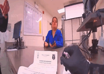 She Spent Hours Inside Target Before Things Got Serious V0911 029 SUV