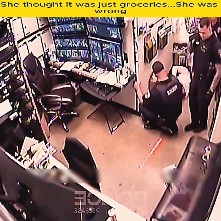 She thought it was just groceries She was wrong V0911 015 SUV