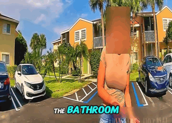 One Attitude Zero Immunity V0911 047 SUV