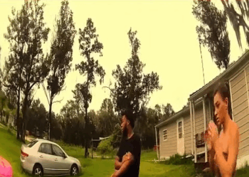 Parents FELL ASLEEP FORGOT About Their TODDLER in POOL V0911 007 Mitsubishi