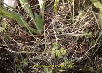 How Woman Plan to Get Back at Ex Ended in V1111 001 Part 2 Luxury