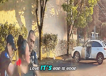 Her chaos was loud Her ending was louder V1911 041 Agrarian Luxury