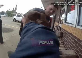 Disabled Karen Snaps at Store Employees Until Cops Put Her in Check V1711 042 Part 2 Modern Farmhouse