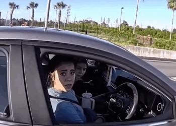 Speeding Woman an Attitude Learns Hard Lesson V1911 018 Luxury Farmhouse