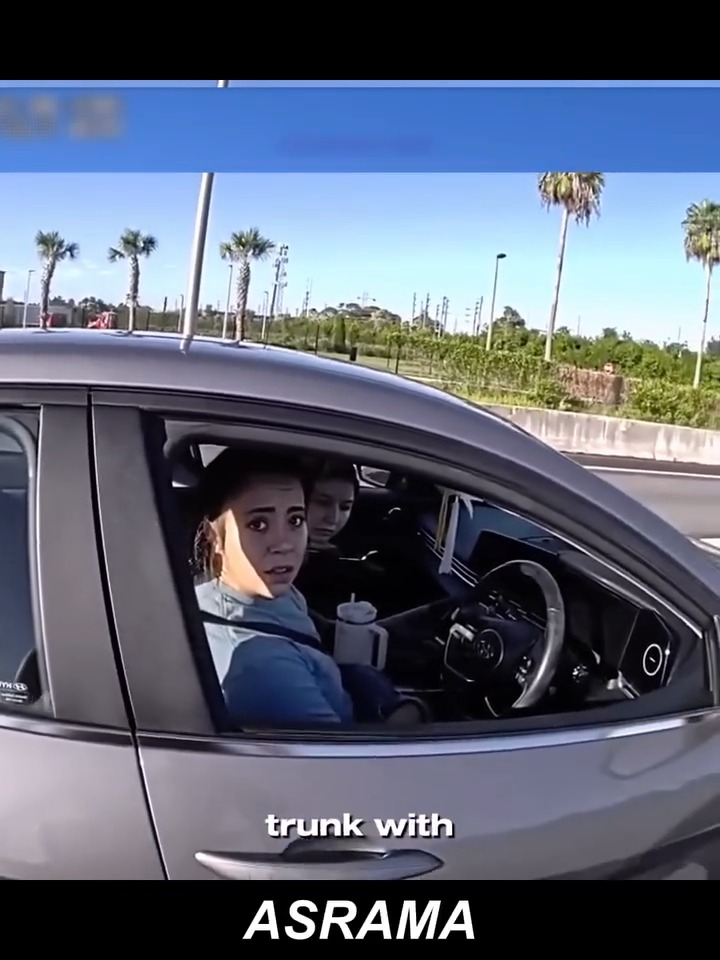 Speeding Woman an Attitude Learns Hard Lesson V1911 018 Luxury Farmhouse