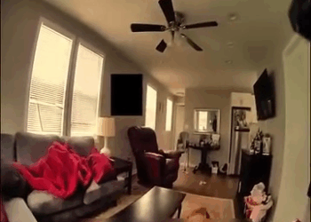 Mom Out of It Toddler Wandering ALONE V1911 048 Farmhouse Luxury