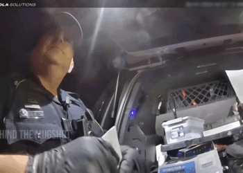 My Dad Will Pay You! Year Old, 3X Over Limit, Tries to Bribe Cop  Luxury Farmhouse