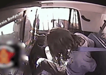 When Cops Face OVERPOWERED V2910 010