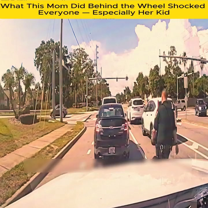 What Mom Did Behind Wheel Shocked Everyone Especially Her Kid V1911 001 Farmhouse