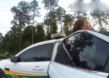 When Entitled Karens Lose Their Minds Try to Escape Cops Police Arrest V1711 017 Part 2 Farmhouse