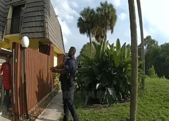 Police Stop Mother Ruthlessly Attacking Her Child Baseball Bat V1911 026 Farmhouse