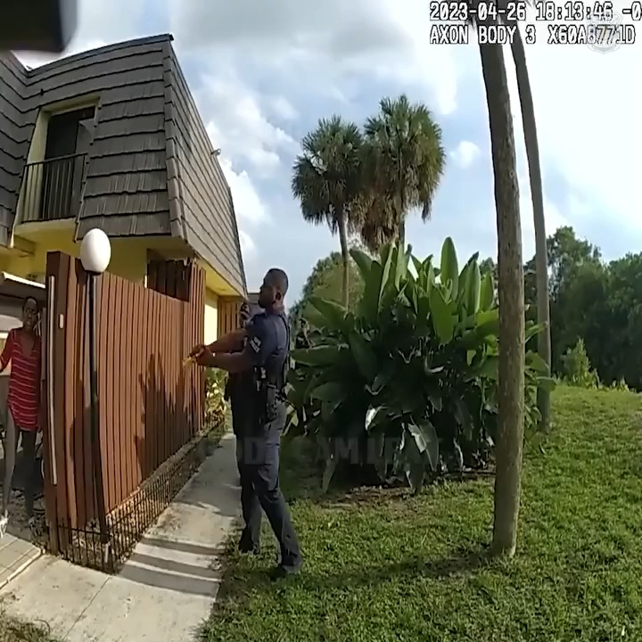 Police Stop Mother Ruthlessly Attacking Her Child Baseball Bat V1911 026 Farmhouse