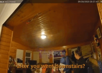 Lost Year Old in Dirty Diaper Leads Police to Negligent Parents V2211 042 New York