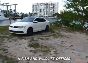 Routine Patrol Uncovered More Than Fishing Violation V2911 002