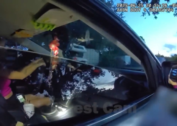 She Turned Speeding Ticket Into Felony V0212 026