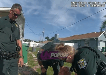 Daughter Comes Home Instantly Sparks Chaos Police Visit V2711 044 San Francisco