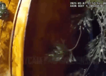 Busted in Mom Basement Repeat Thieves Arrested V2911 038 America’s