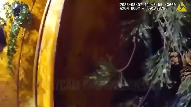 Busted in Mom Basement Repeat Thieves Arrested V2911 038 America’s