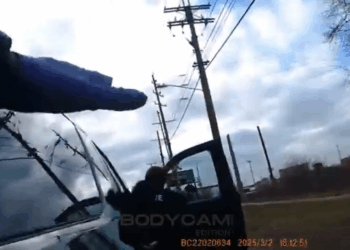 Police Teach Sovereign Citizen Lesson of Lifetime V2211 036 American