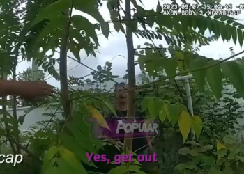 How to Turn Losing Child Custody Into Felony in No Time V2911 032