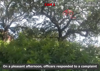 Karen Thinks She Owns Entire Neighbourhood V2911 036