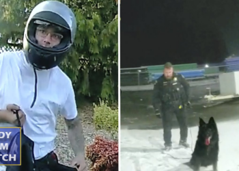 K9 Karma After Man Runs From The Police One Too Many Times