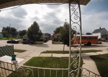 Cops Discover An Evil Husbands House Of V2612 027 Part 2