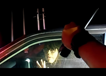 Woman Refuses To Get Out of Car, Ends Badly