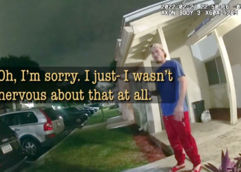 Here’s Why You Shouldn’t Attack a Police Dog