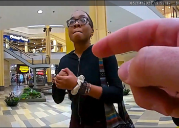 Here’s Why You Don’t Punch a Cop #2