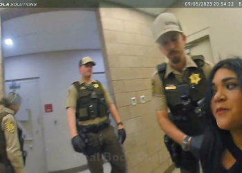 4.5x Over Legal Limit: Sergeant’s Drunk Girlfriend Runs Away With Baby Onboard!