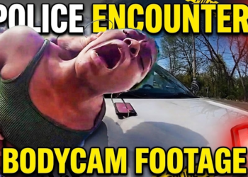 She Stole Her Grandma’s Car, Then Attacked Police