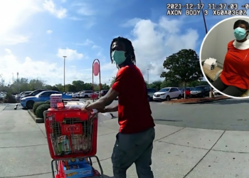 Target Felony Shoplifting Scheme Comes Crashing Down