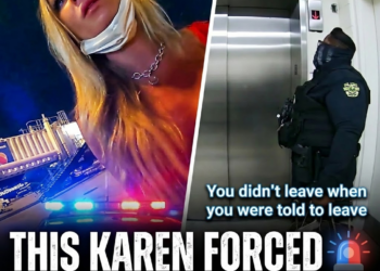 This Karen Forced the Airplane to Land