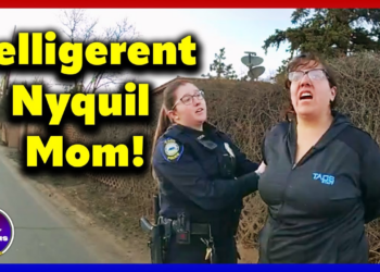 Toddler & Baby Rescued: Cops Arrest Belligerent ‘Nyquil Mom’ Drunk Driving!