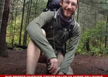 DHS probes whether agents killed VA nurse following accidental discharge during Minneapolis ICE raid